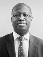 Professor Frank Chingwundoh